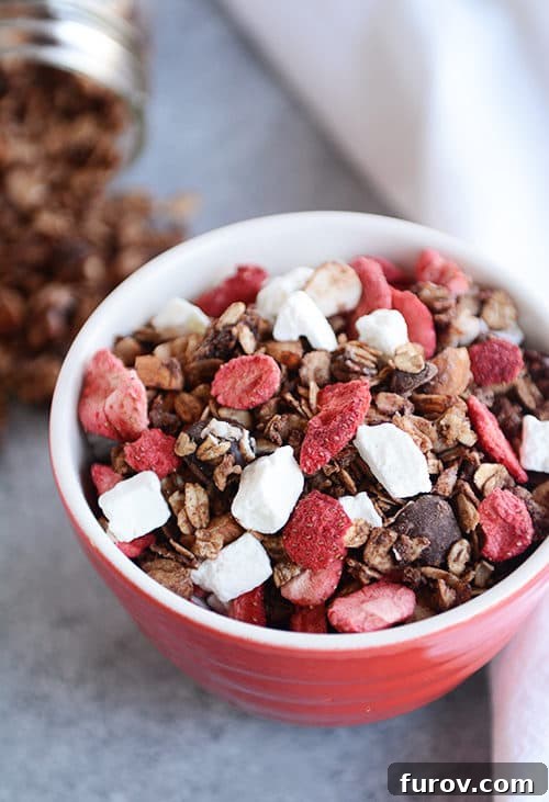 A bowl full of chocolate granola, freeze dried strawberries, and yogurt bites.