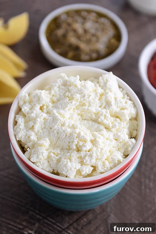 A vibrant red bowl filled with luscious, homemade ricotta cheese, garnished subtly, inviting a taste.