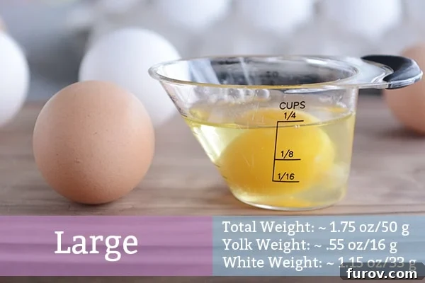 A large egg cracked into a liquid measuring cup, with a whole raw large egg next to it, illustrating its standard volume.