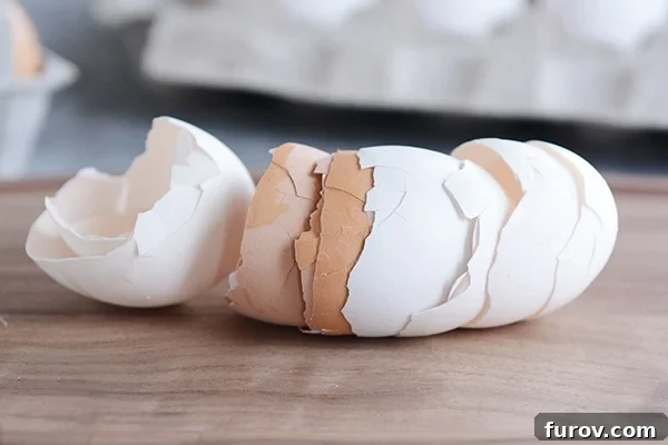 A close-up shot of egg shells neatly arranged on a kitchen counter, symbolizing the aftermath of a successful baking session.