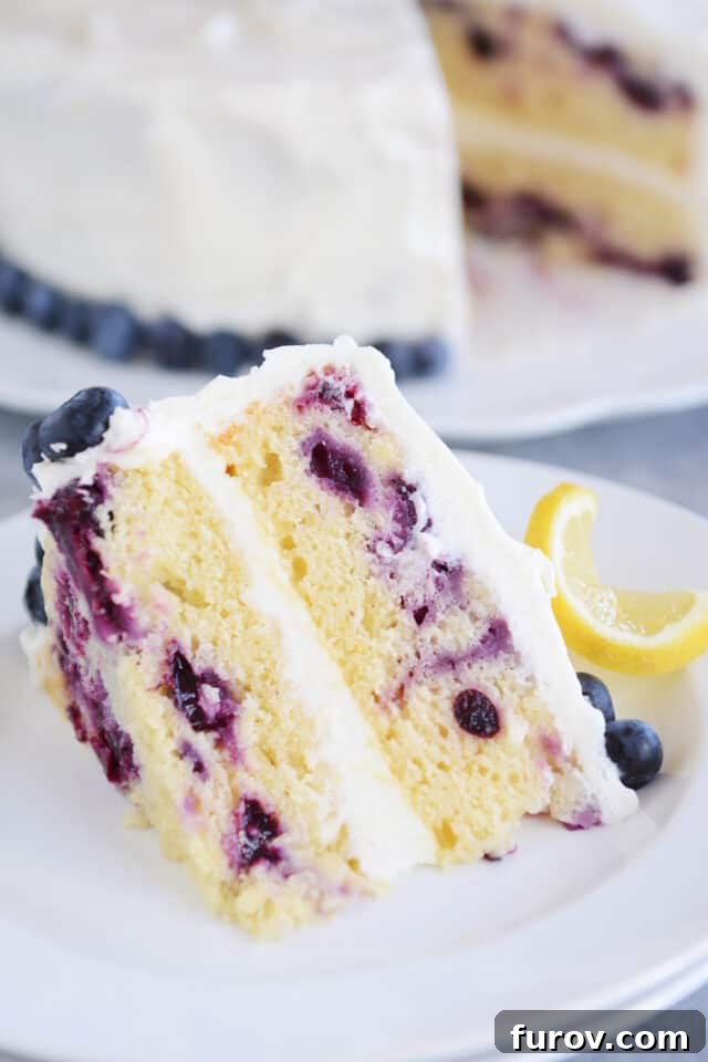 Double layer lemon blueberry cake on a white plate, beautifully frosted and garnished with fresh blueberries and lemon slices.