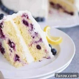 Lemon Blueberry Cake with Whipped Lemon Cream Cheese Frosting