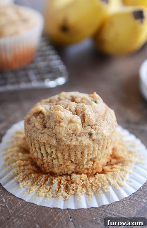 Wholesome Peanut Butter Banana Honey Muffins 2 A perfectly baked whole grain peanut butter banana muffin resting in a white paper liner, showcasing its golden-brown top and tender crumb.