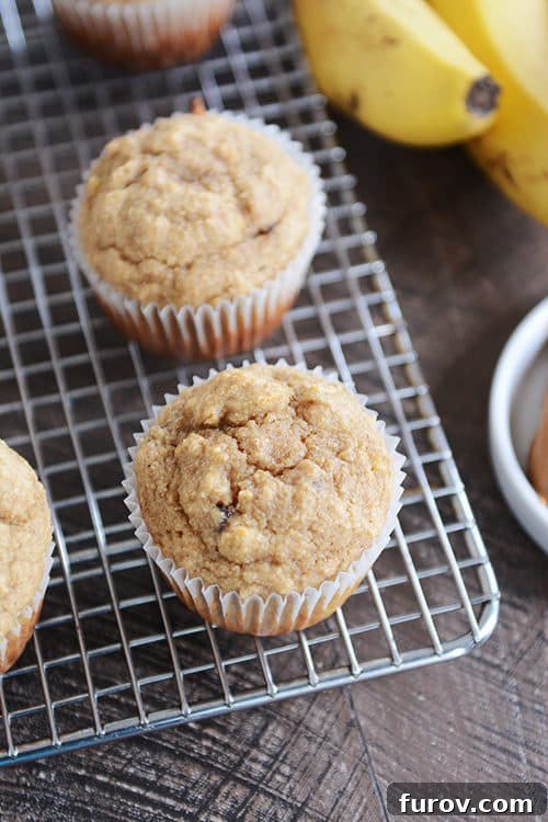 Wholesome Peanut Butter Banana Honey Muffins 4 Top view of several whole grain peanut butter banana muffins cooling on a metal wire rack.