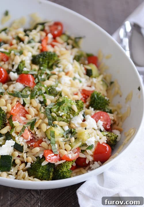 Golden Roasted Vegetable Orzo, Infused with Summer Basil 2 A large oval bowl full of roasted vegetable and orzo salad.
