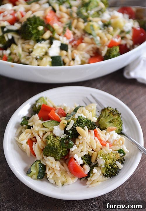 Golden Roasted Vegetable Orzo, Infused with Summer Basil 3 A roasted vegetable and orzo salad on a white plate.