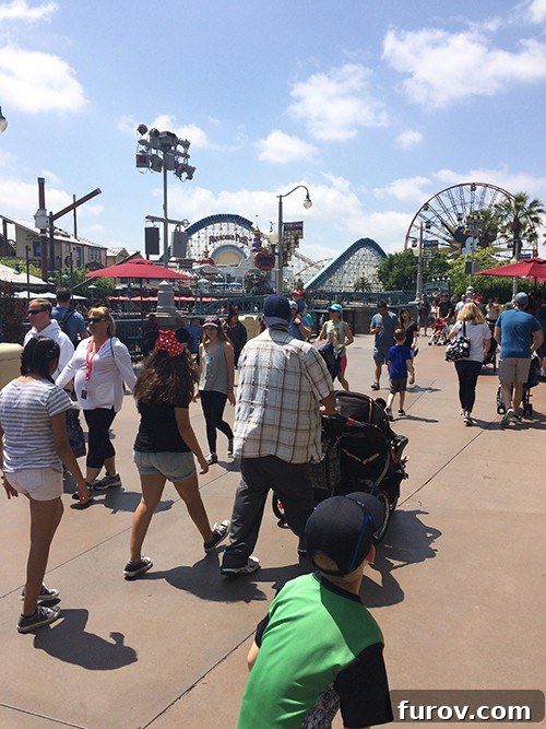 A family enjoying the vibrant atmosphere of Disneyland.