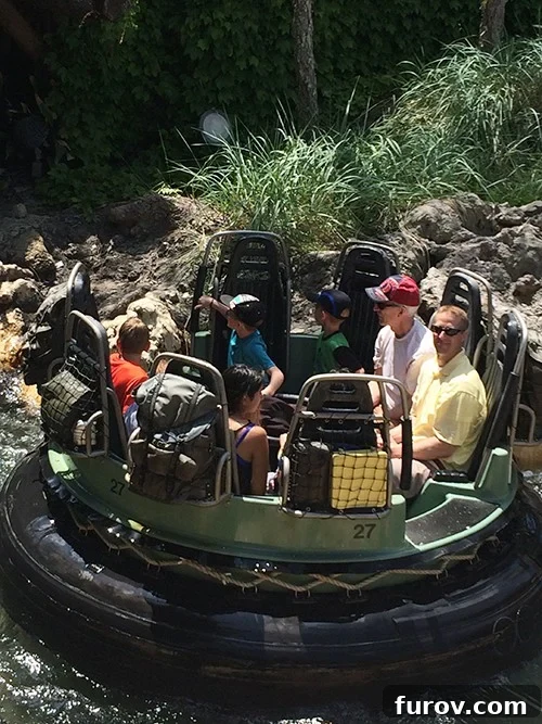 A family on a thrilling water ride in Disneyland, laughing and enjoying the moment.