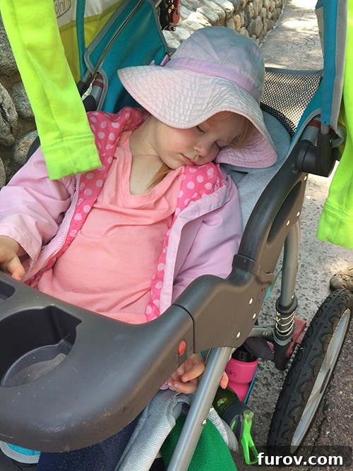 A little girl peacefully asleep in a stroller at Disneyland, taking a much-needed rest.