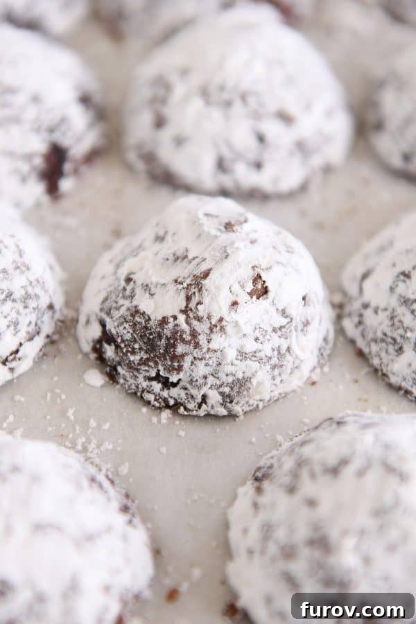 Tray of powdered sugar coated chocolate truffle cookies, ready for holiday festivities.