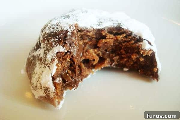 A close-up of a chocolate truffle cookie with a bite taken out, showing its rich texture.