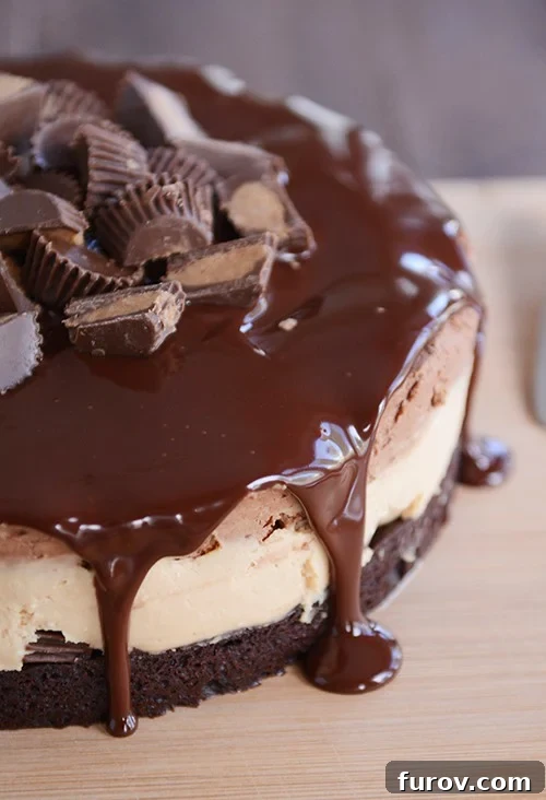 A peanut butter mousse cake with a brownie base covered with ganache and peanut butter cups. 