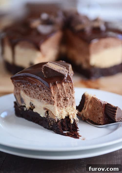 A slice of peanut butter chocolate mousse cake with a bite taken out on a white plate.