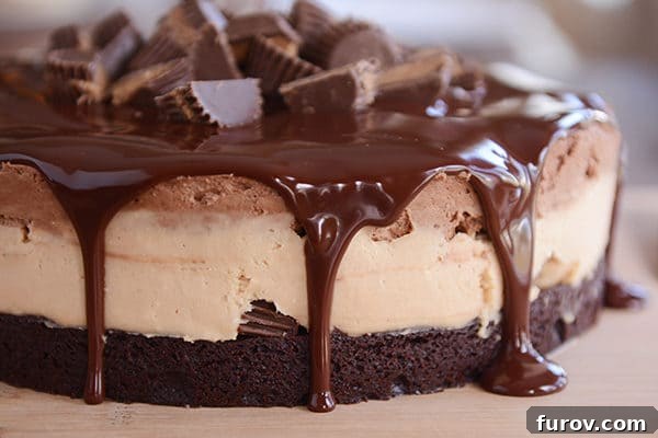 A layered peanut butter chocolate mousse cake topped with ganache and chopped peanut butter cups.