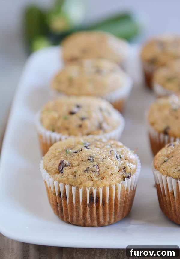 Freshly baked chocolate chip zucchini muffins on a white platter, ready to be served.