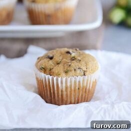 A close-up of a chocolate chip zucchini muffin with a few chocolate chips visible, on a light background, highlighting its golden-brown top.