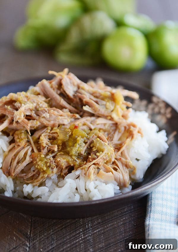 A bowl of cooked white rice topped with shredded pork and tomatillo sauce, garnished with fresh cilantro.