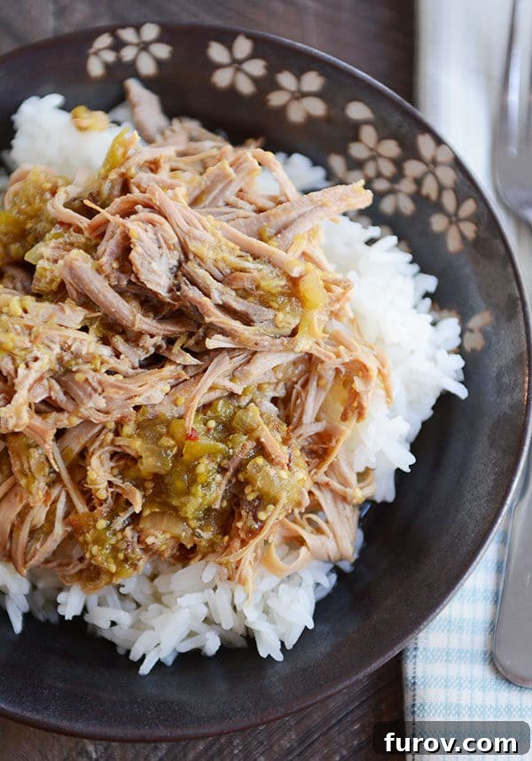 A dark floral bowl filled with white rice, topped generously with shredded sweet tomatillo chipotle pork and a vibrant green sauce.