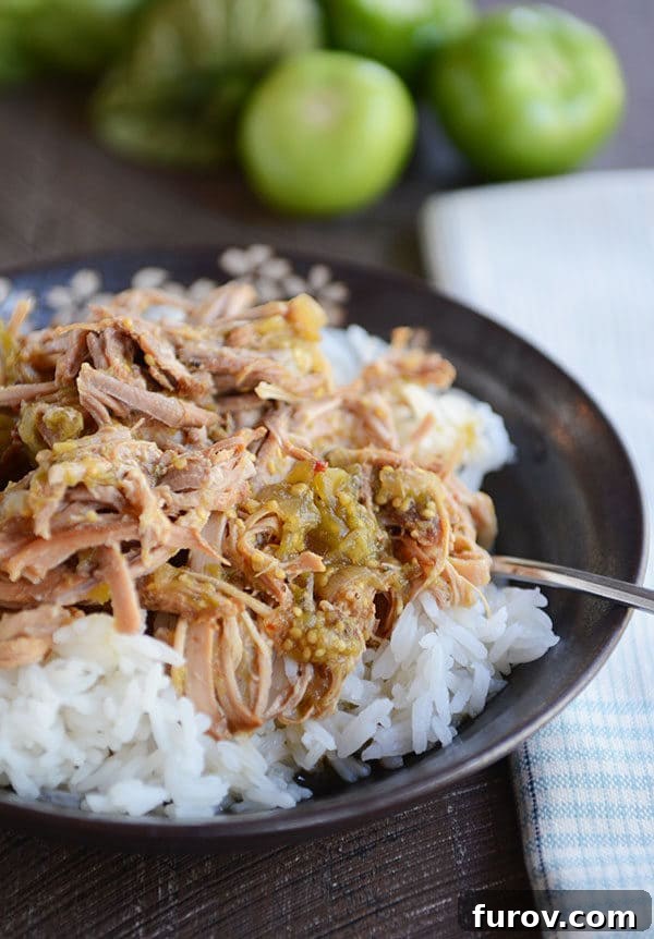 Close-up of shredded pork with tomatillo sauce and rice in a dark bowl, highlighting the texture and rich color of the dish.