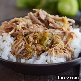 A small image illustrating the Slow Cooker Sweet Tomatillo Chipotle Pork recipe.