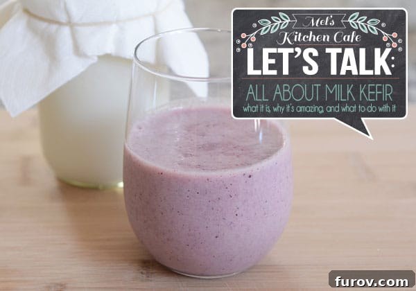 A glass of berry kefir milk with text in the corner of the picture that says let's talk about milk kefir. A visual introduction to the health benefits of homemade kefir.