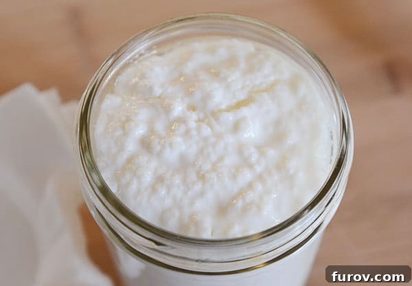Top-down view into a mason jar of fermented milk kefir, showing the thick, creamy texture and visible kefir grains.