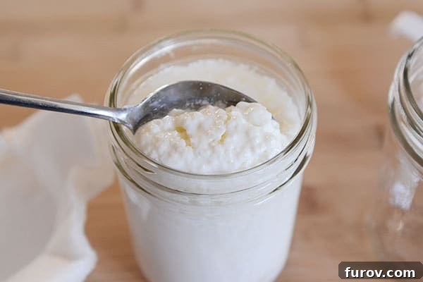 A spoon gently scooping thick kefir grains from the surface of fermented milk in a mason jar.