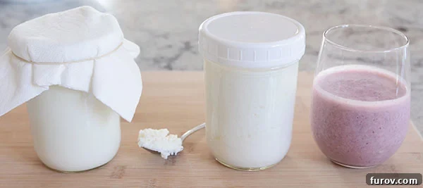 Two mason jars of freshly made kefir milk next to a spoonful of active kefir grains and a ready-to-drink glass of berry kefir.