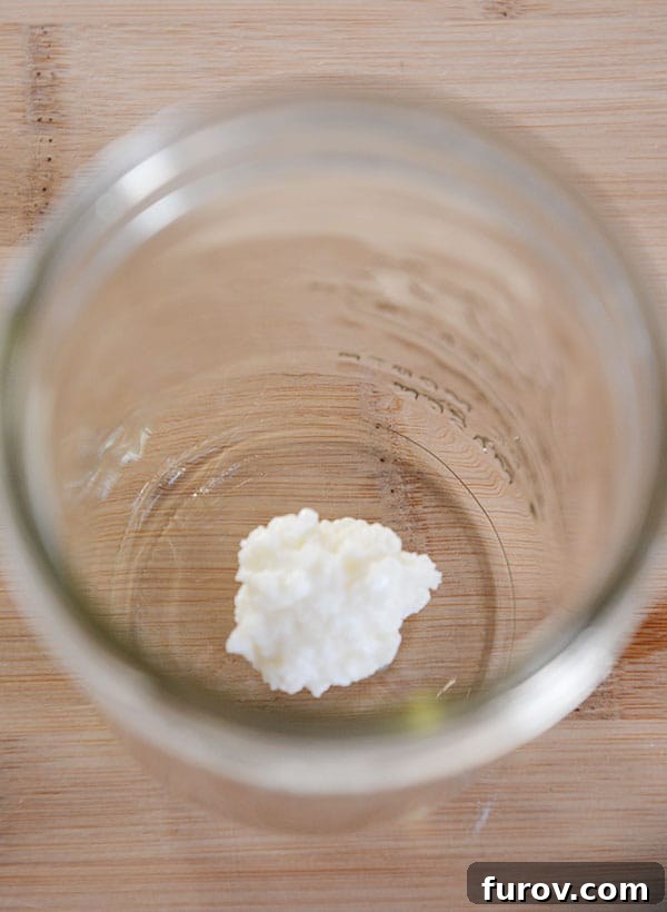 Top-down view of a mason jar with a small amount of active milk kefir grains settled at the bottom, ready for milk.