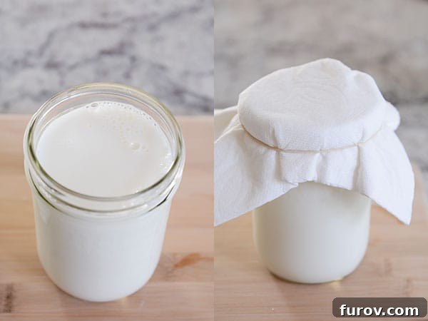 Side-by-side comparison of two mason jars: one freshly prepared with milk and kefir grains, covered with a paper towel, and the other already fermented, showing slight separation.