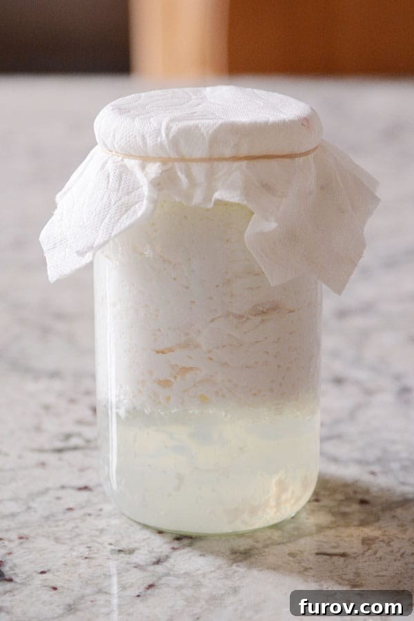 An over-fermented mason jar of milk kefir with distinct separation of thick curds and watery whey, indicating the grains have gone too long without fresh milk.