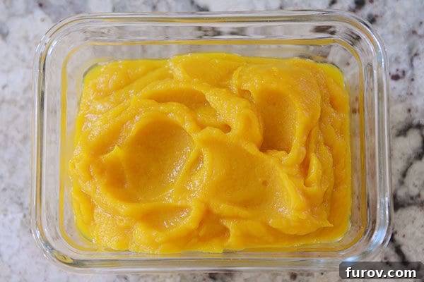 Quick and Easy Pressure Cooker Pumpkin Puree 12 A glass container filled with smooth, vibrant orange pumpkin puree, ready for storage.