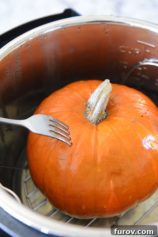 Quick and Easy Pressure Cooker Pumpkin Puree 4 A perfectly cooked small pumpkin resting inside an Instant Pot after pressure cooking.