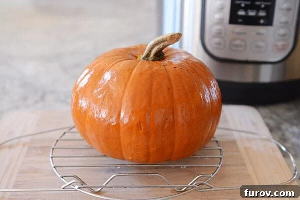 Quick and Easy Pressure Cooker Pumpkin Puree 5 A small, perfectly cooked pumpkin cooling on a wire rack, showcasing its smooth, softened skin.