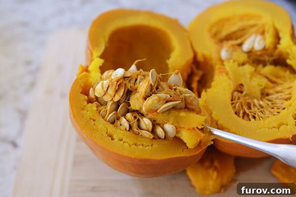 Quick and Easy Pressure Cooker Pumpkin Puree 7 A large metal spoon effortlessly scooping out the seeds and fibrous interior from one half of a cooked pumpkin.