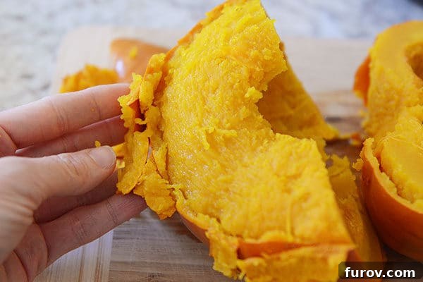Quick and Easy Pressure Cooker Pumpkin Puree 9 A hand gently pulling the loosened skin away from a large chunk of cooked pumpkin, showing how easily it separates.
