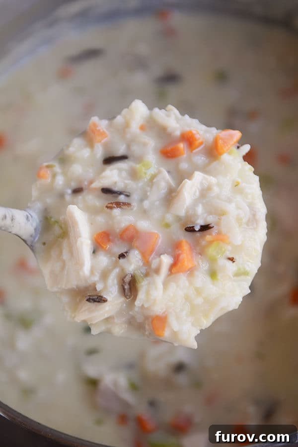 A ladle full of creamy chicken and wild rice soup being lifted over the pot, showcasing its rich texture and ingredients.