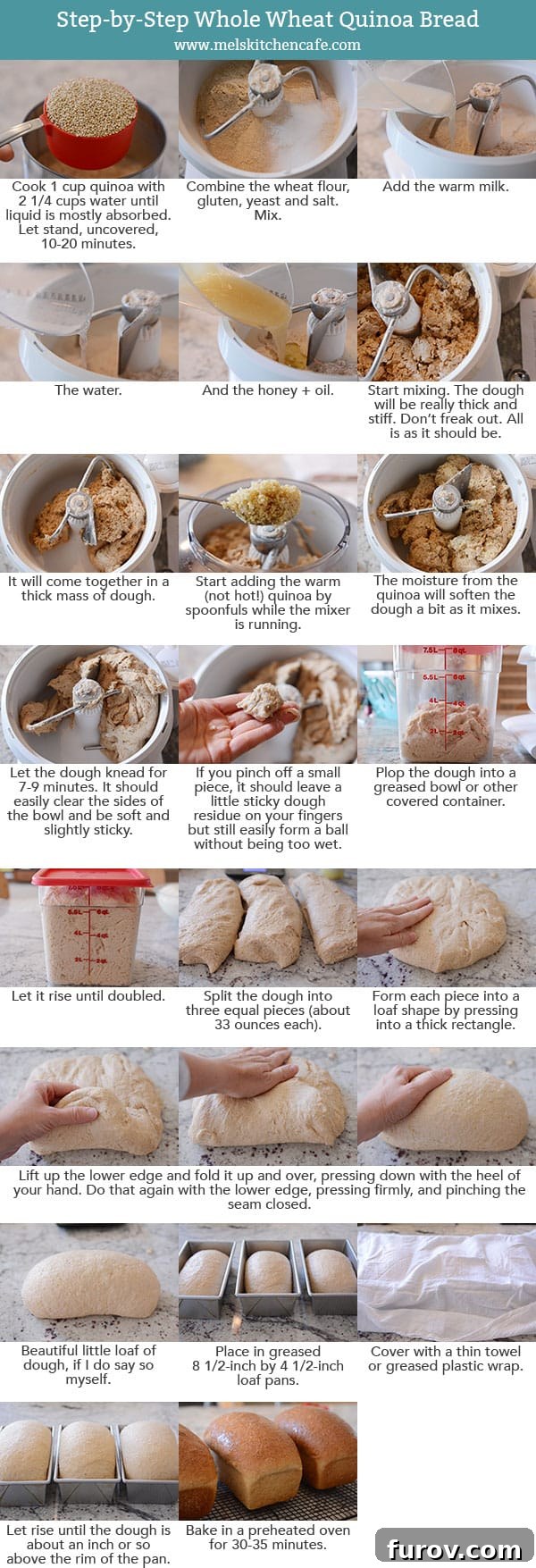 Step-by-step photos and instructions showing how to make homemade quinoa bread.