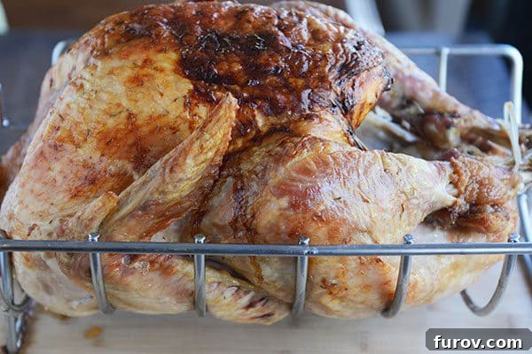 Simple Herb Roasted Turkey with Foolproof Gravy 3 A perfectly golden brown roasted turkey cooling in a roasting rack.