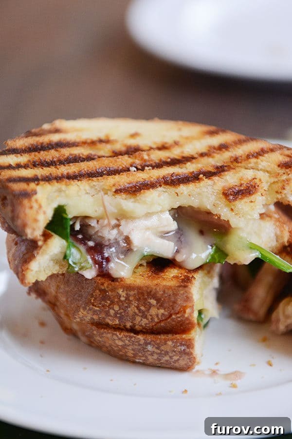 A grilled turkey and cranberry panini on a white plate, showcasing its golden-brown bread and melted cheese.