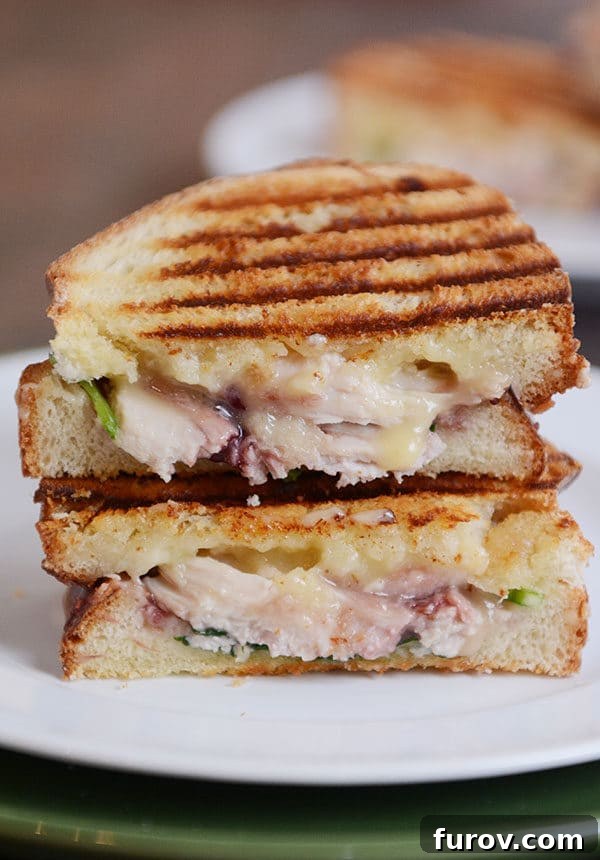 A turkey panini with cranberry and melted brie cut in half on a white plate, revealing its delicious layers.