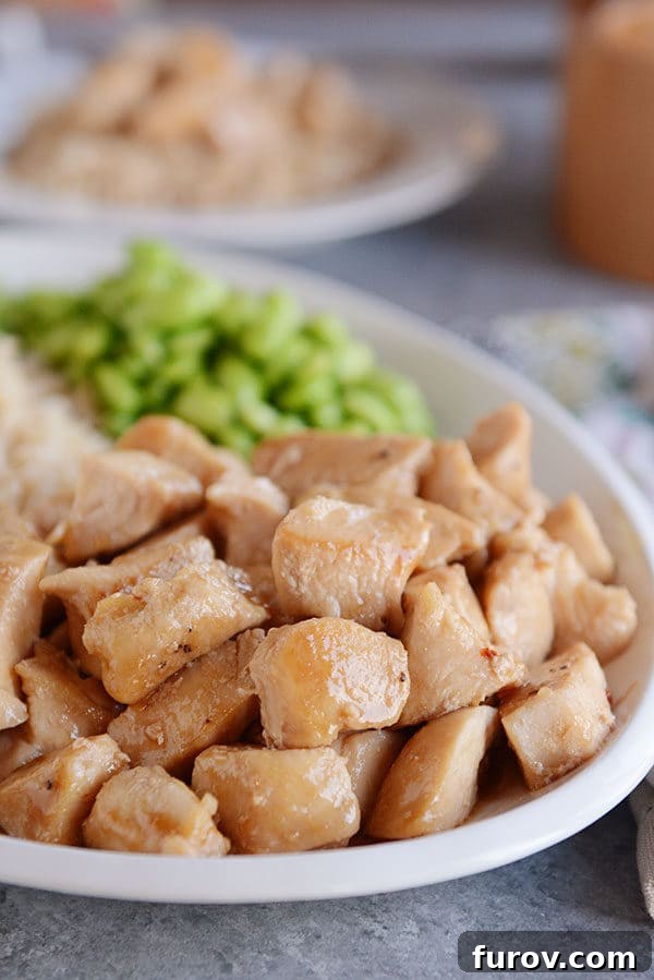 Sticky Honey Garlic Skillet Chicken in 20 Minutes 2 A plate of glazed cooked chicken cubes.