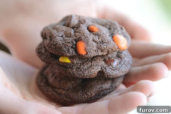 Signature Triple Chocolate Peanut Butter Fudge Cookies 4 A hand holding three Triple Chocolate Fudge Peanut Butter Cookies, stacked impressively, emphasizing their generous size and tempting homemade appeal.