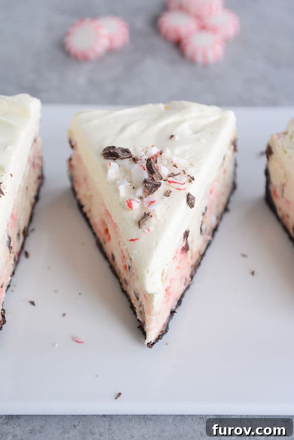 A slice of peppermint chocolate cheesecake with a chocolate cookie crust, showing off its beautiful layers and garnish.