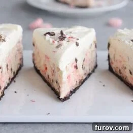 A beautifully presented slice of Peppermint Bark White Chocolate Mousse Cheesecake.
