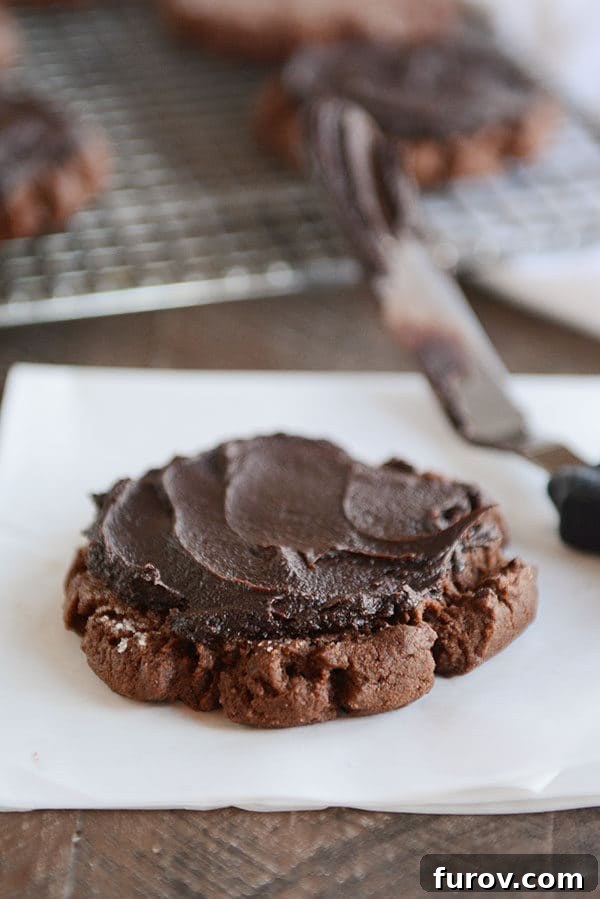 Pillowy Chocolate Frosted Swig Sugar Cookies 10 A beautifully frosted chocolate sugar cookie, featuring a thick layer of creamy chocolate frosting, presented on its own to highlight its rich decadence.