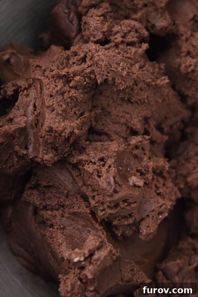Pillowy Chocolate Frosted Swig Sugar Cookies 5 Rich chocolate cookie batter resting in a shiny metal mixing bowl, ready for the next step in the baking process.