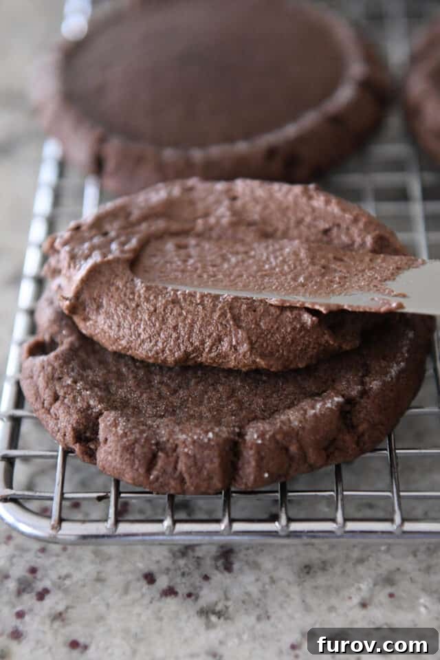Pillowy Chocolate Frosted Swig Sugar Cookies 7 A close-up of a hand spreading creamy chocolate frosting onto a perfectly baked chocolate cookie, highlighting the rich texture and even application.
