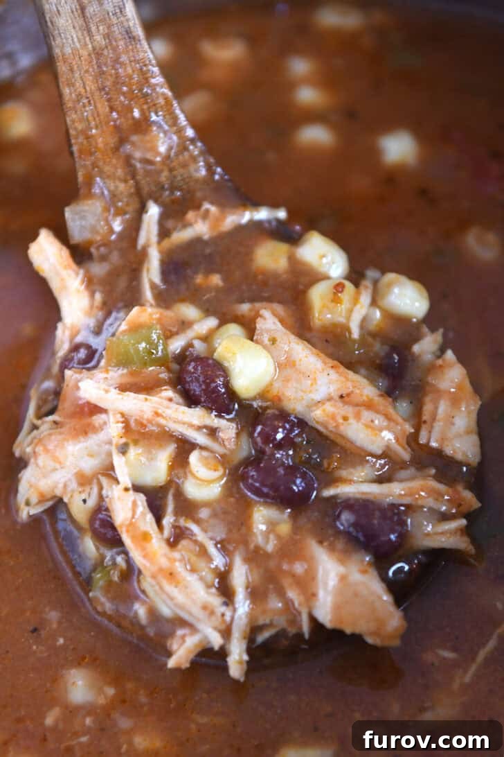 Easy Chicken Tortilla Soup Instant Pot Stovetop Slow Cooker 6 A ladle taking a scoop of chicken tortilla soup out of a pot.