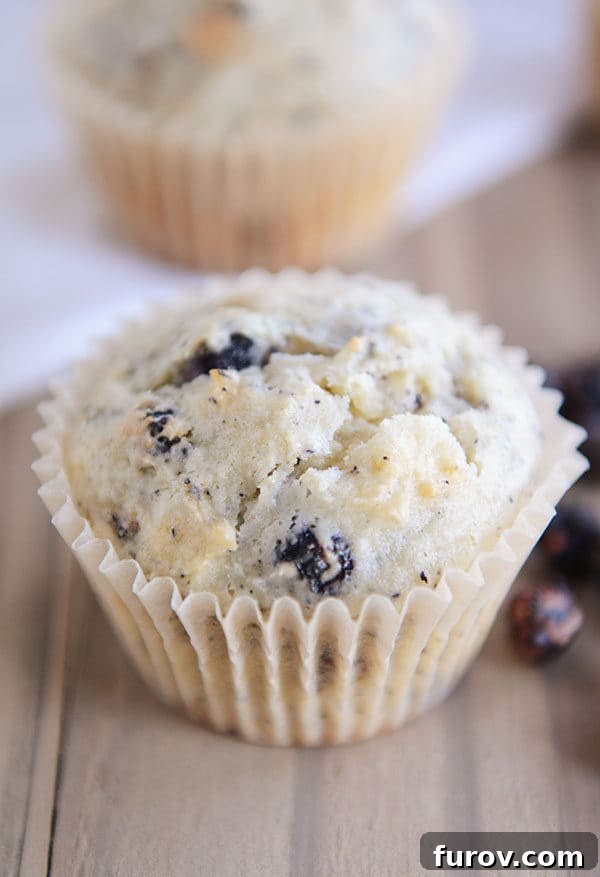 A perfectly baked blueberry cream cheese muffin nestled in a white muffin liner, showcasing its golden-brown top and delightful texture.